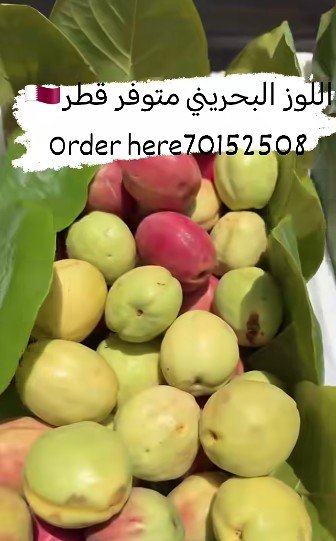 Premium Bahraini almonds